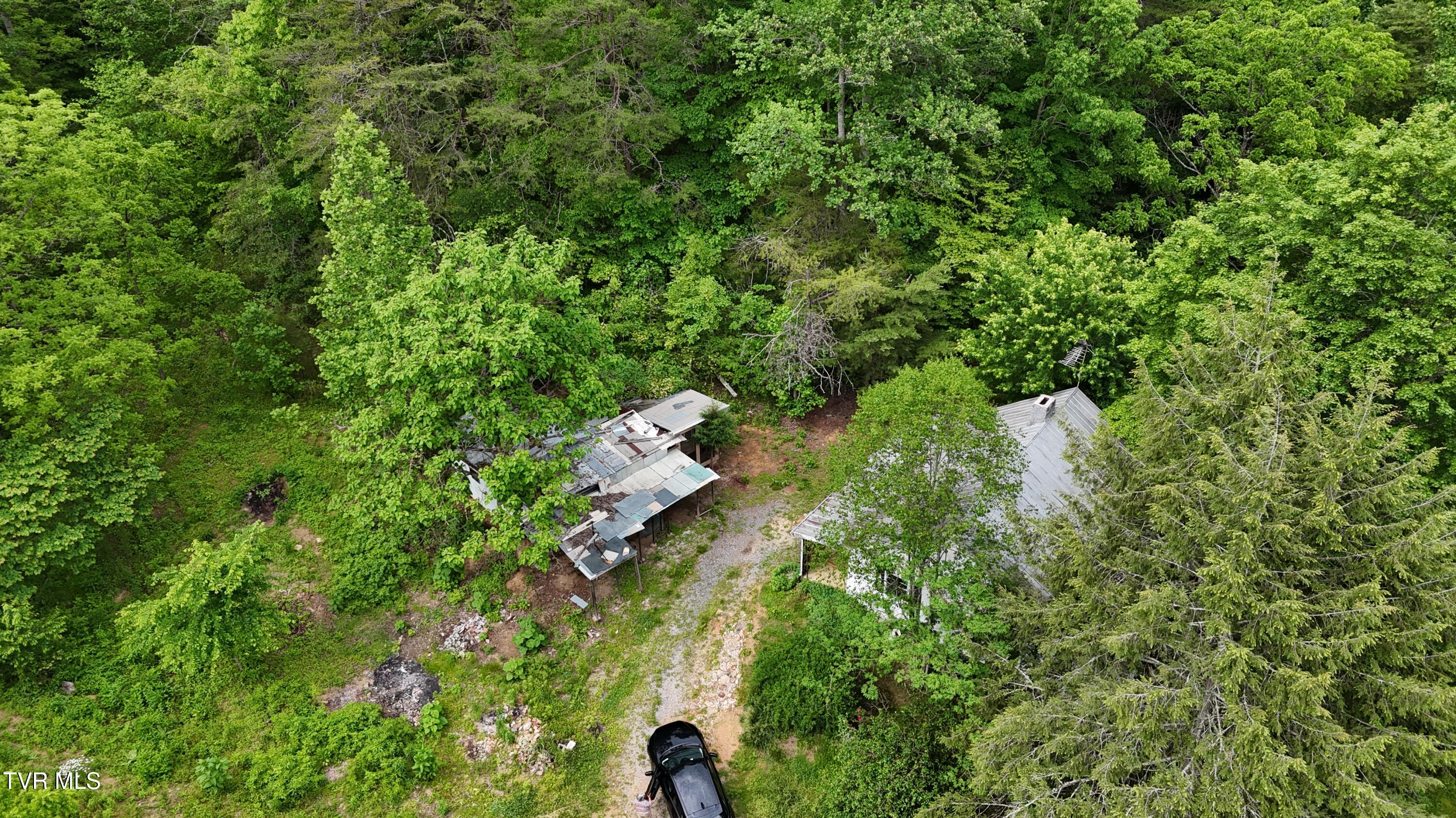 289 Early Branch Road, Rogersville, Tennessee image 21