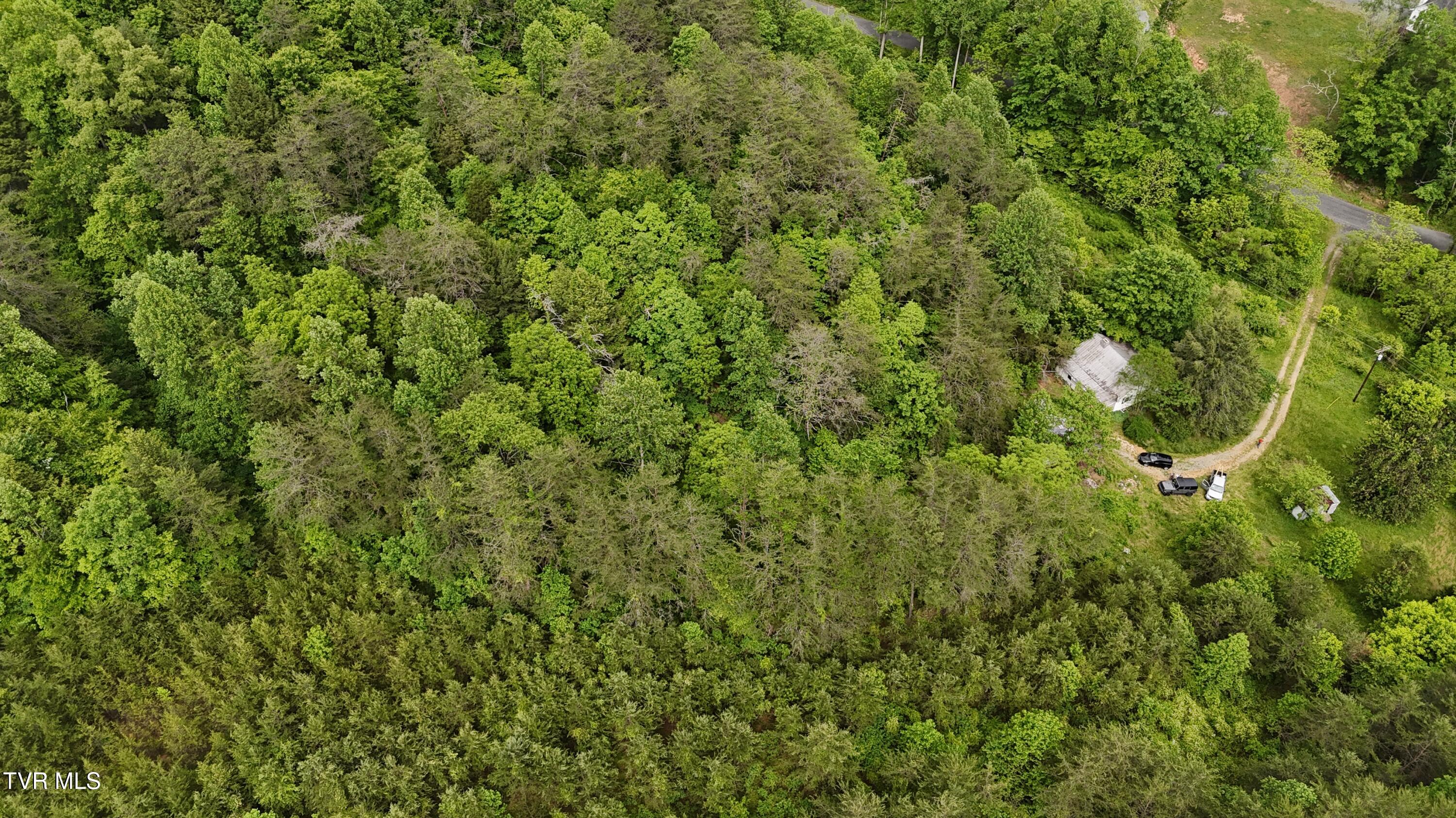 289 Early Branch Road, Rogersville, Tennessee image 18