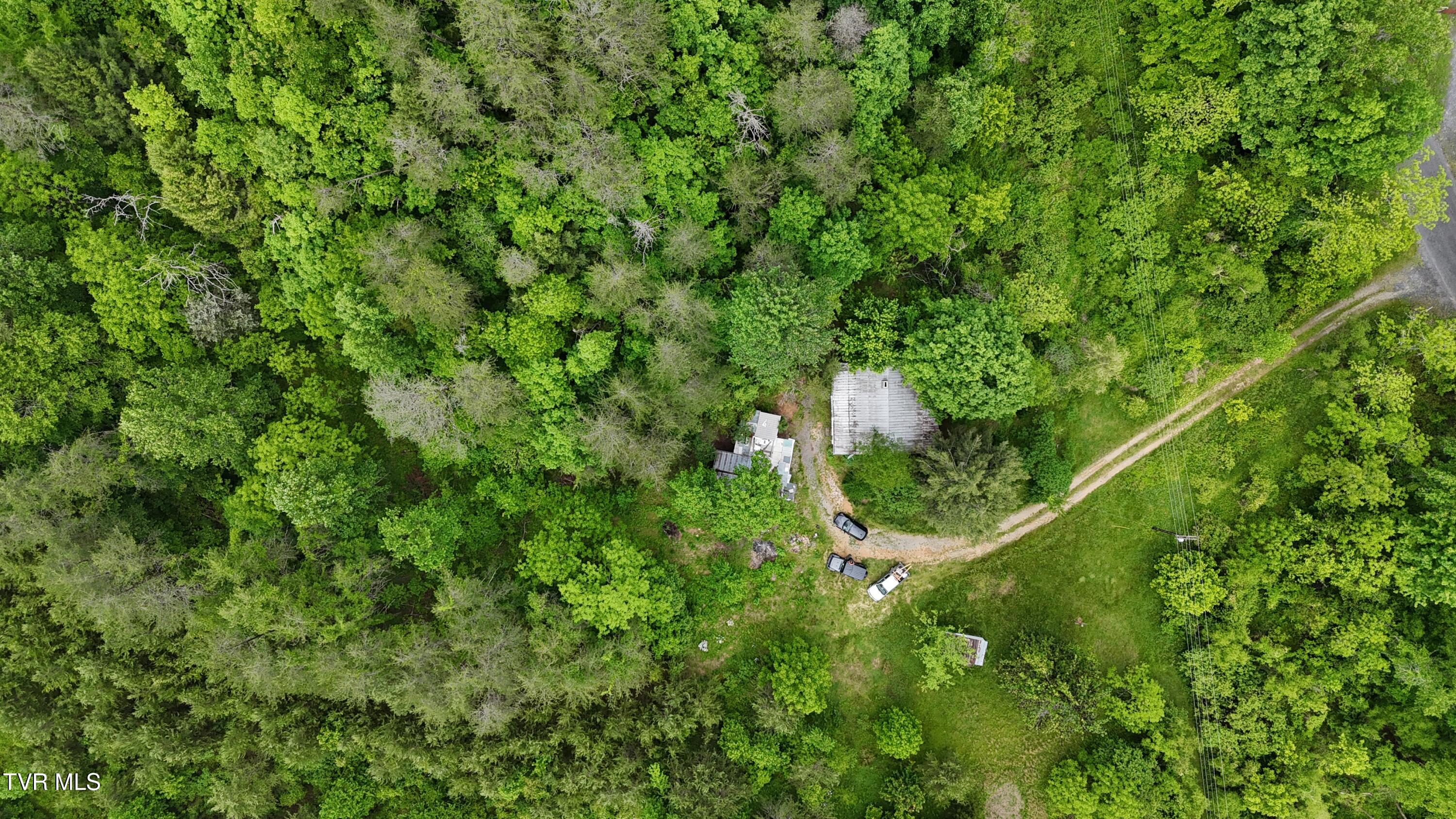 289 Early Branch Road, Rogersville, Tennessee image 25