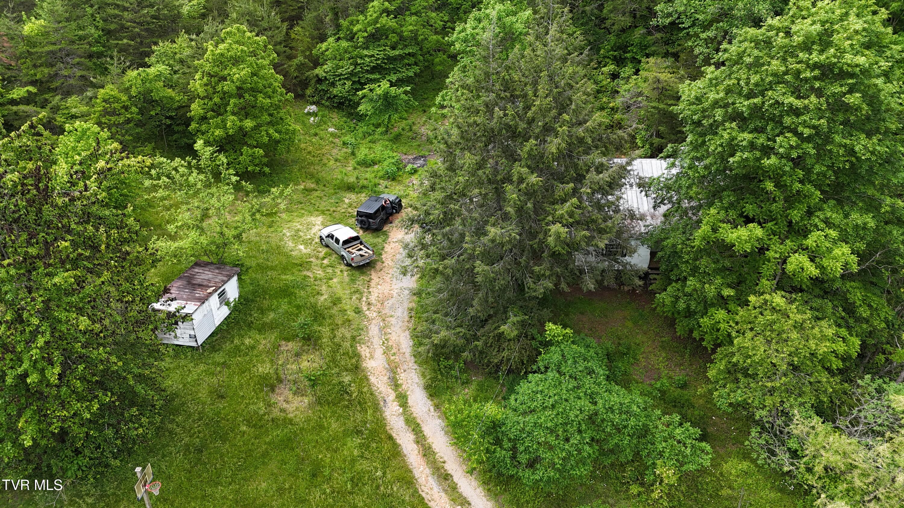 289 Early Branch Road, Rogersville, Tennessee image 22