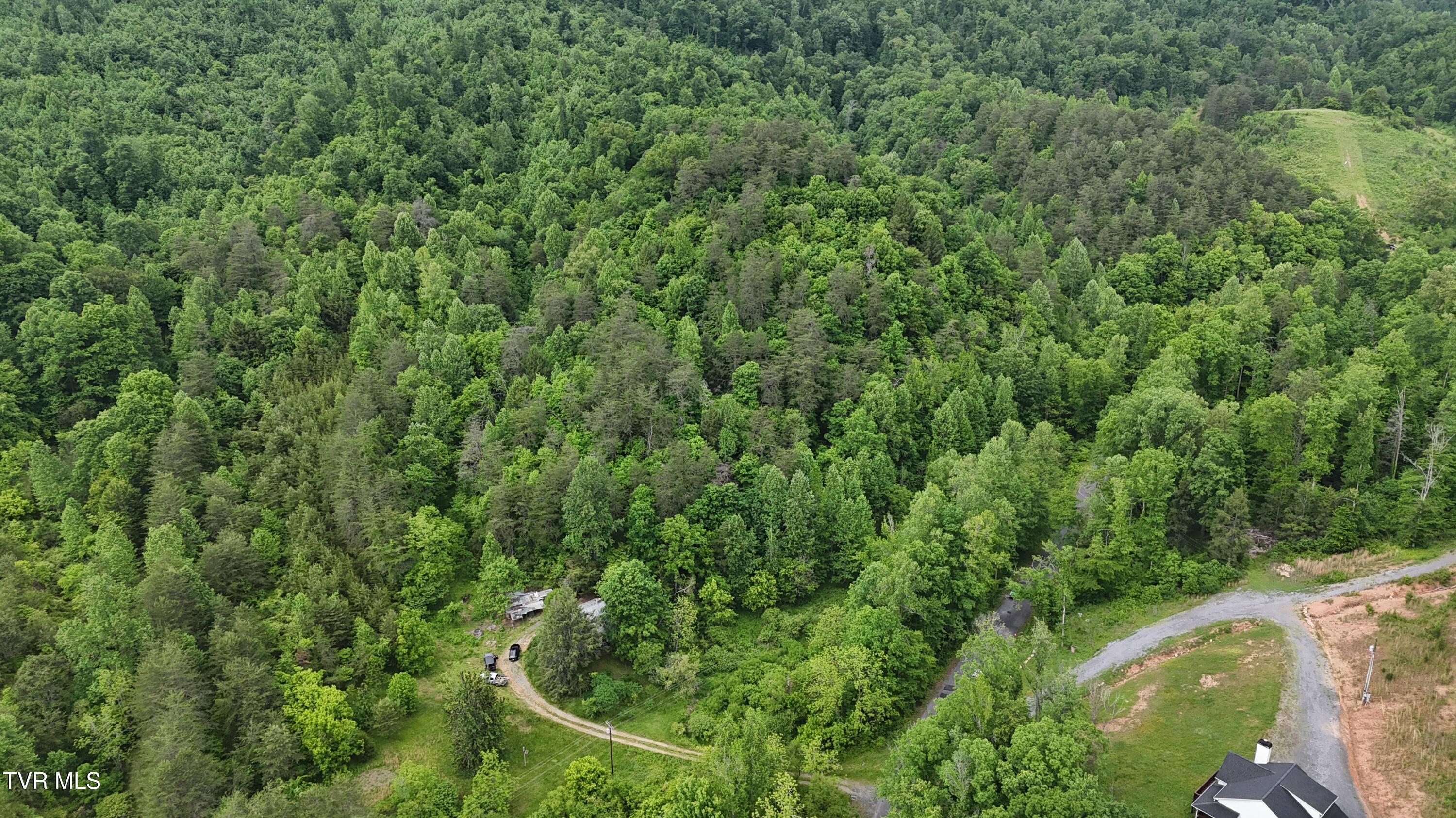 289 Early Branch Road, Rogersville, Tennessee image 28