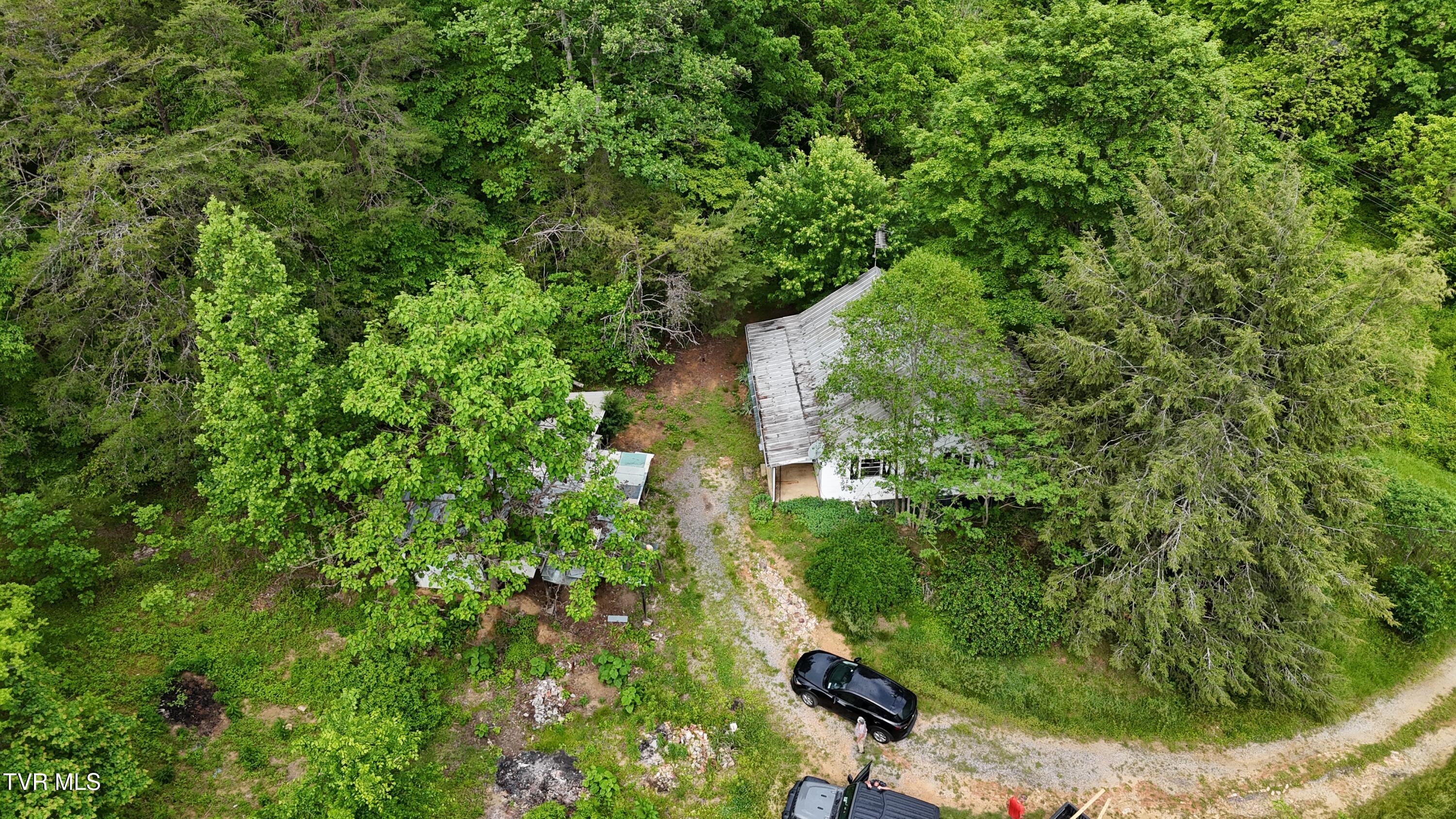 289 Early Branch Road, Rogersville, Tennessee image 1