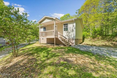 195 Willard Perkins Road Roan Mountain TN 37687
