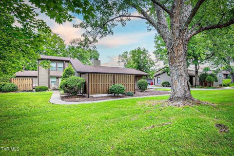 Condo For Sale - 501 Pilgrim Court #A<br/> Carter County, Johnson City, TN 37601