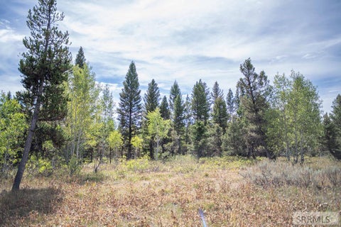 Vacant Land For Sale - 2819 NE Sagehen Dr<br/> Fremont County, ISLAND PARK, ID 83429