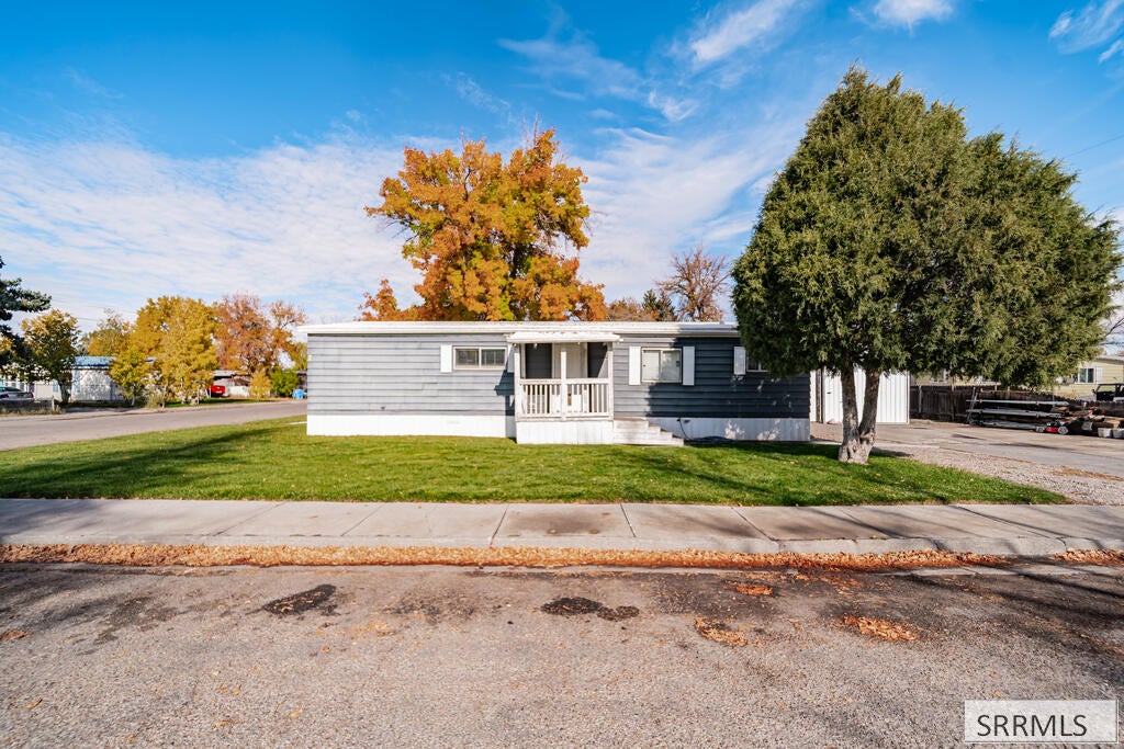 353 Contor Avenue
