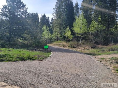 Photo of L39 B4 Cutthroat Run, IRWIN, ID 83428 (MLS # 2179400)