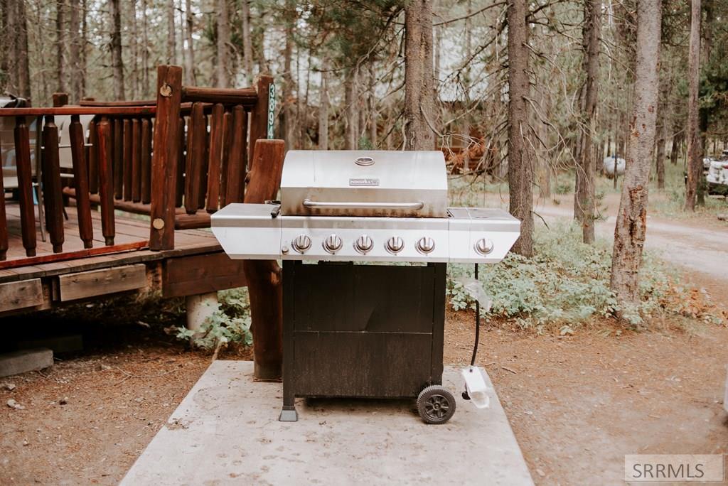 4088 Yale Creek Road, ISLAND PARK, Idaho image 4