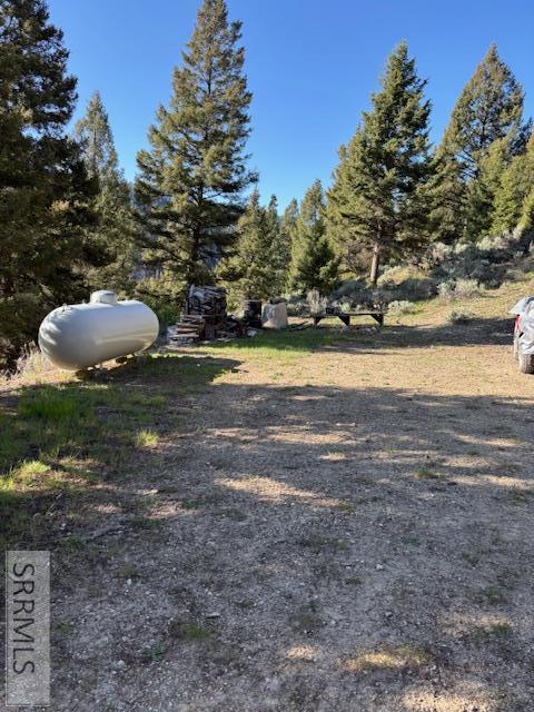 65 Rainbow Lane, CHALLIS, Idaho image 44