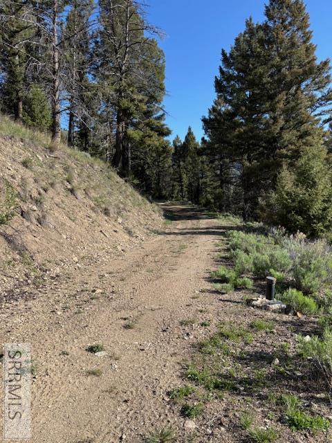 65 Rainbow Lane, CHALLIS, Idaho image 35