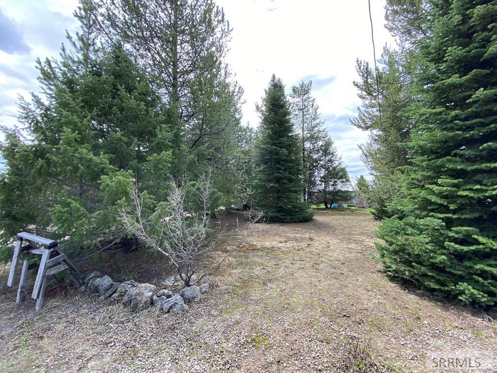 3423 Oakwood Drive, ISLAND PARK, Idaho image 7