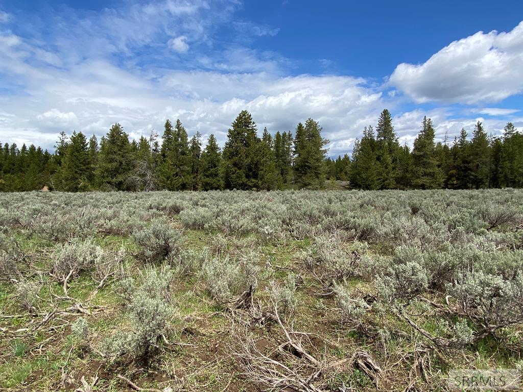 3423 Oakwood Drive, ISLAND PARK, Idaho image 6