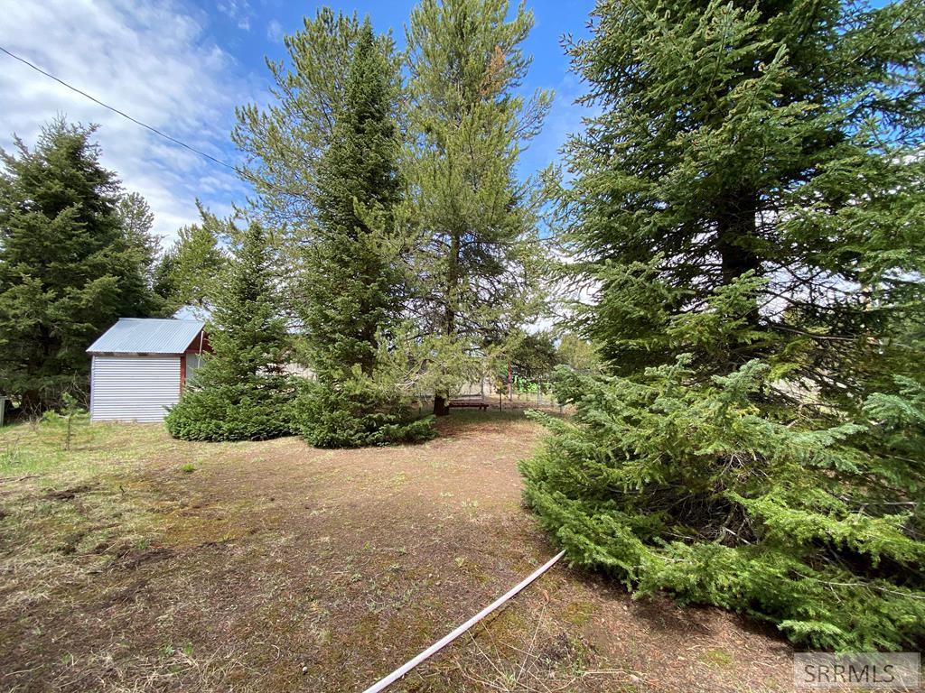 3423 Oakwood Drive, ISLAND PARK, Idaho image 5