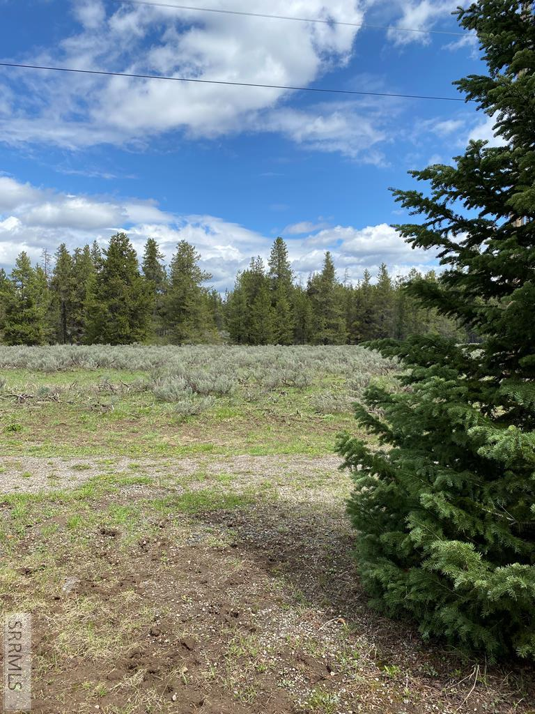 3423 Oakwood Drive, ISLAND PARK, Idaho image 12