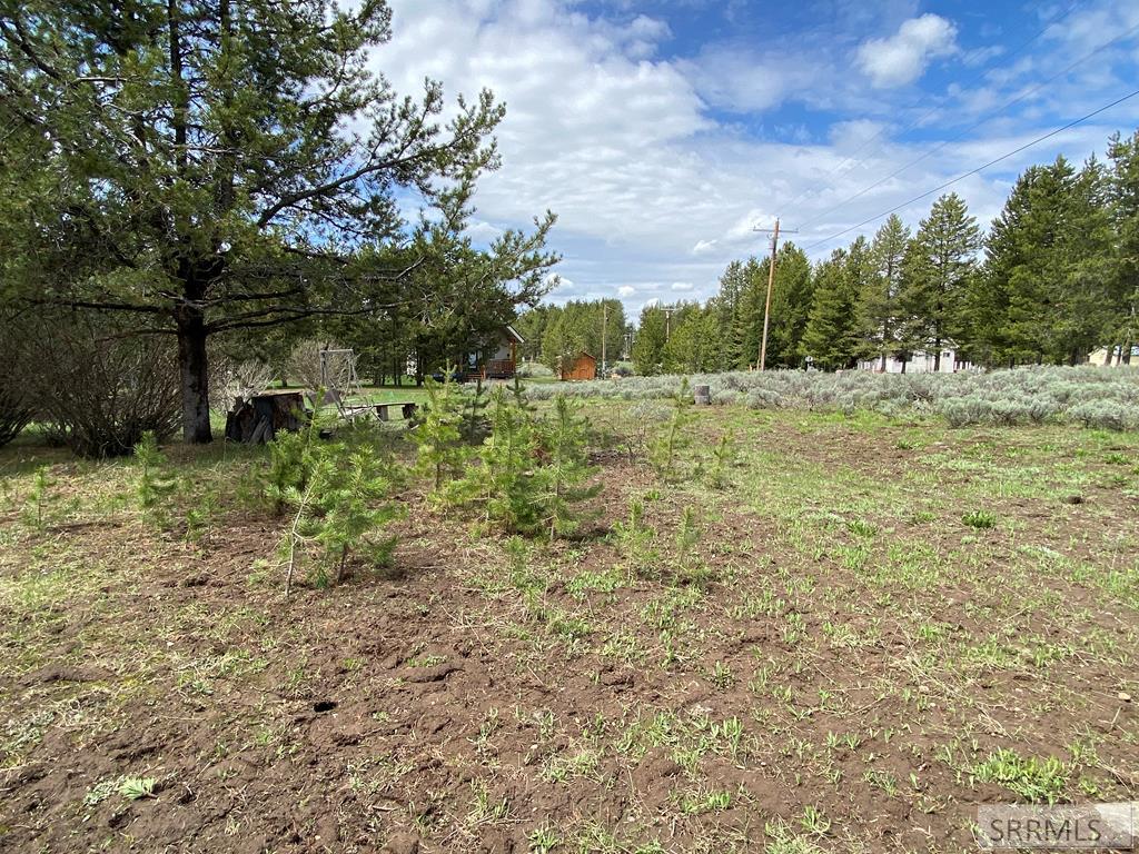 3423 Oakwood Drive, ISLAND PARK, Idaho image 10
