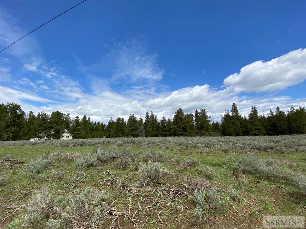 3423 Oakwood Drive, ISLAND PARK, Idaho image 11