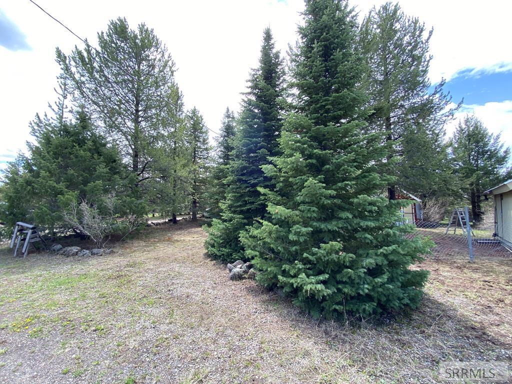 3423 Oakwood Drive, ISLAND PARK, Idaho image 9