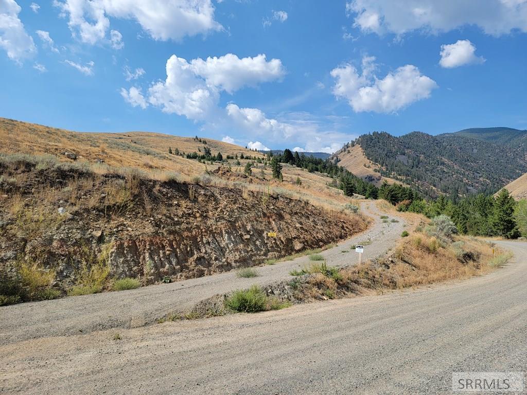 NKN Oliver Drive, SALMON, Idaho image 1