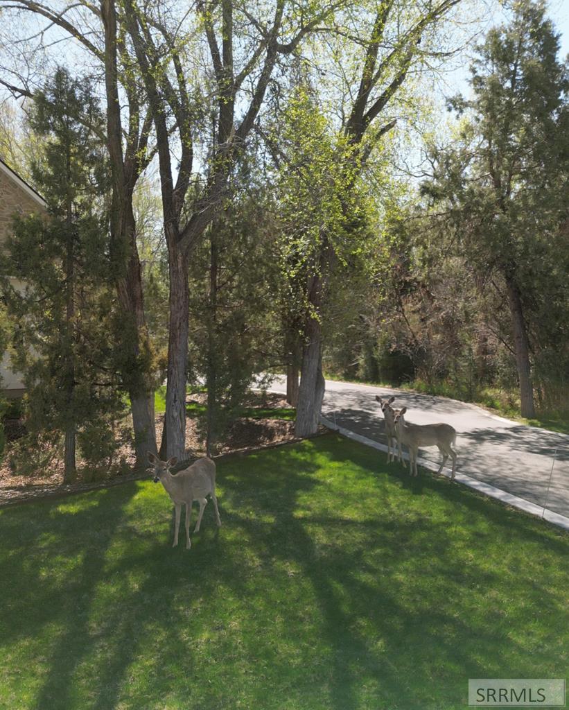 4649 E Landon Lane, RIGBY, Idaho image 2