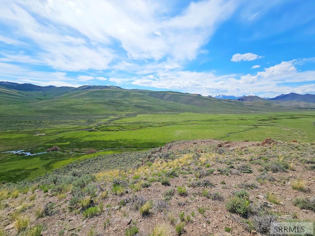 Lot 10 Dry Fork Road, MOORE, Idaho image 24