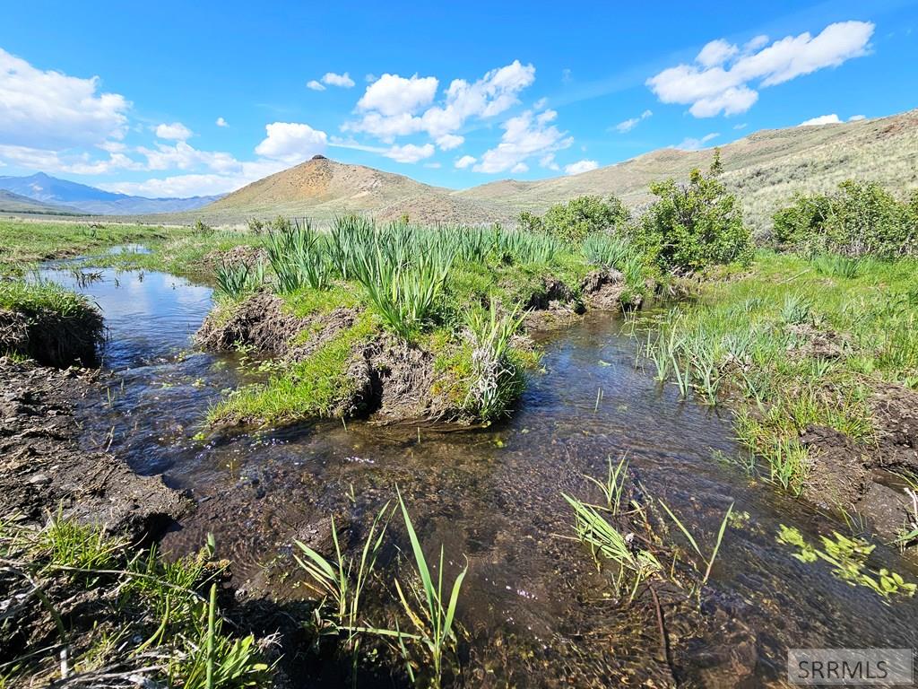 Lot 10 Dry Fork Road, MOORE, Idaho image 8