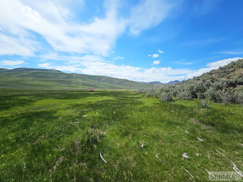 Lot 10 Dry Fork Road, MOORE, Idaho image 11