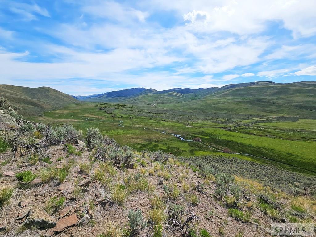 Lot 10 Dry Fork Road, MOORE, Idaho image 23