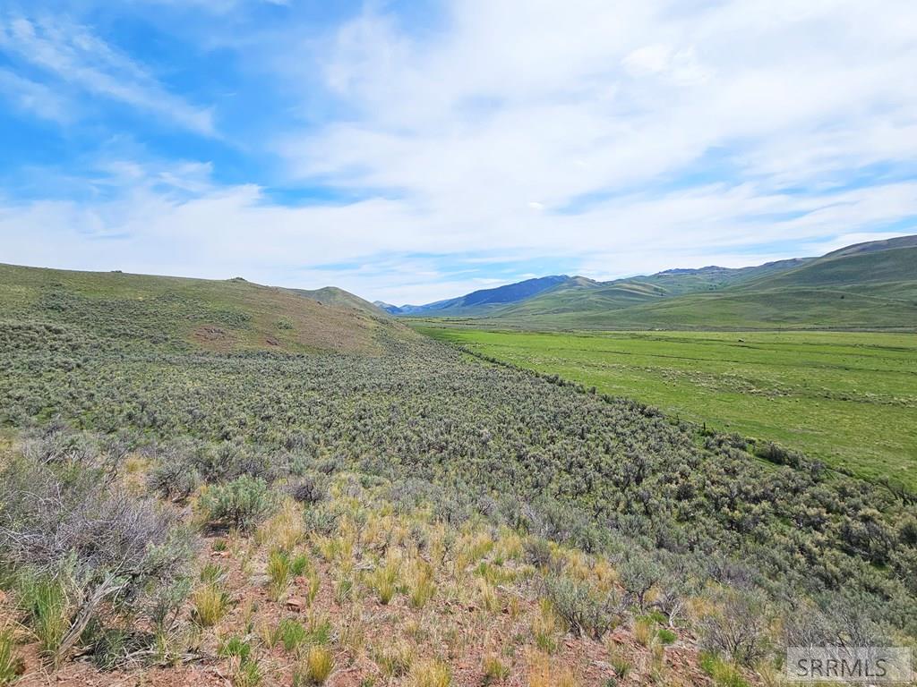 Lot 10 Dry Fork Road, MOORE, Idaho image 17