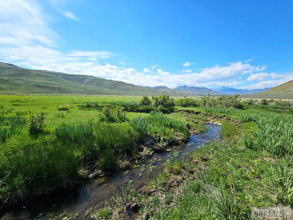 Lot 10 Dry Fork Road, MOORE, Idaho image 6