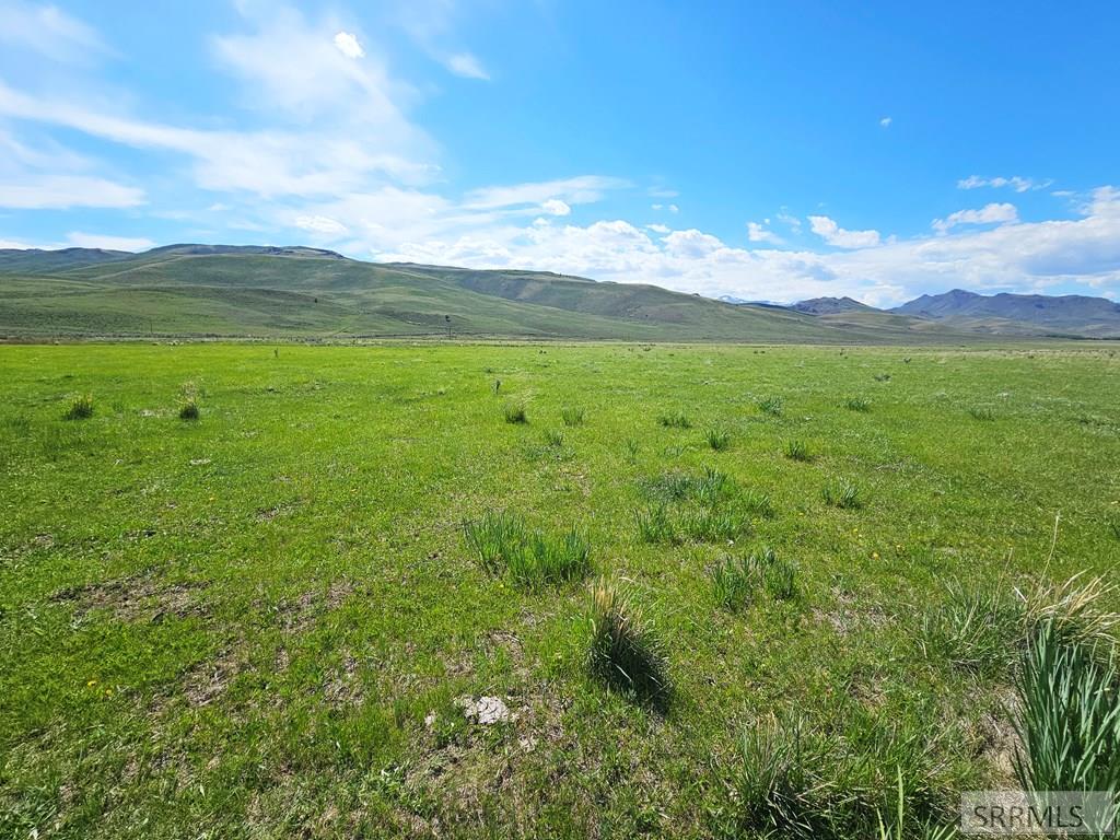 Lot 10 Dry Fork Road, MOORE, Idaho image 13