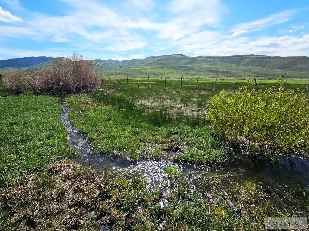 Lot 10 Dry Fork Road, MOORE, Idaho image 2