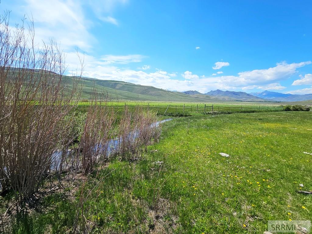 Lot 10 Dry Fork Road, MOORE, Idaho image 4