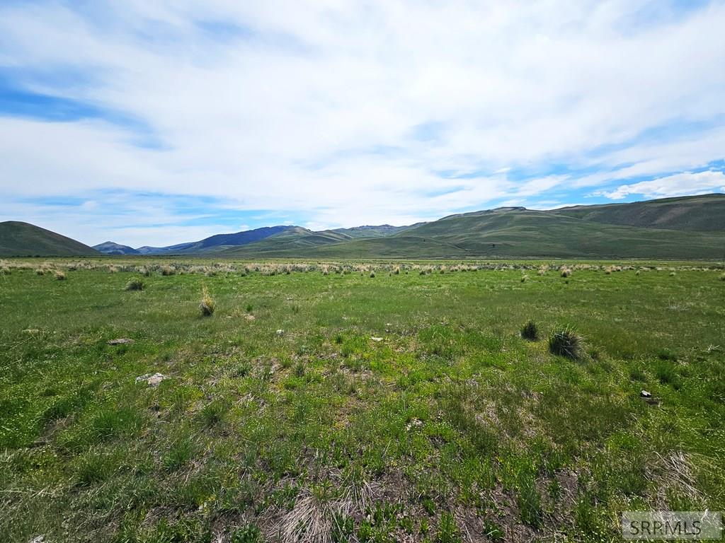 Lot 10 Dry Fork Road, MOORE, Idaho image 12