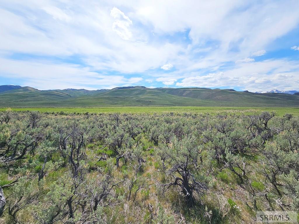 Lot 10 Dry Fork Road, MOORE, Idaho image 18