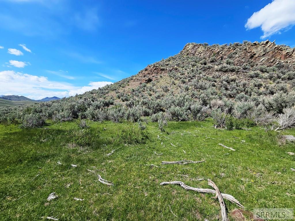 Lot 10 Dry Fork Road, MOORE, Idaho image 25