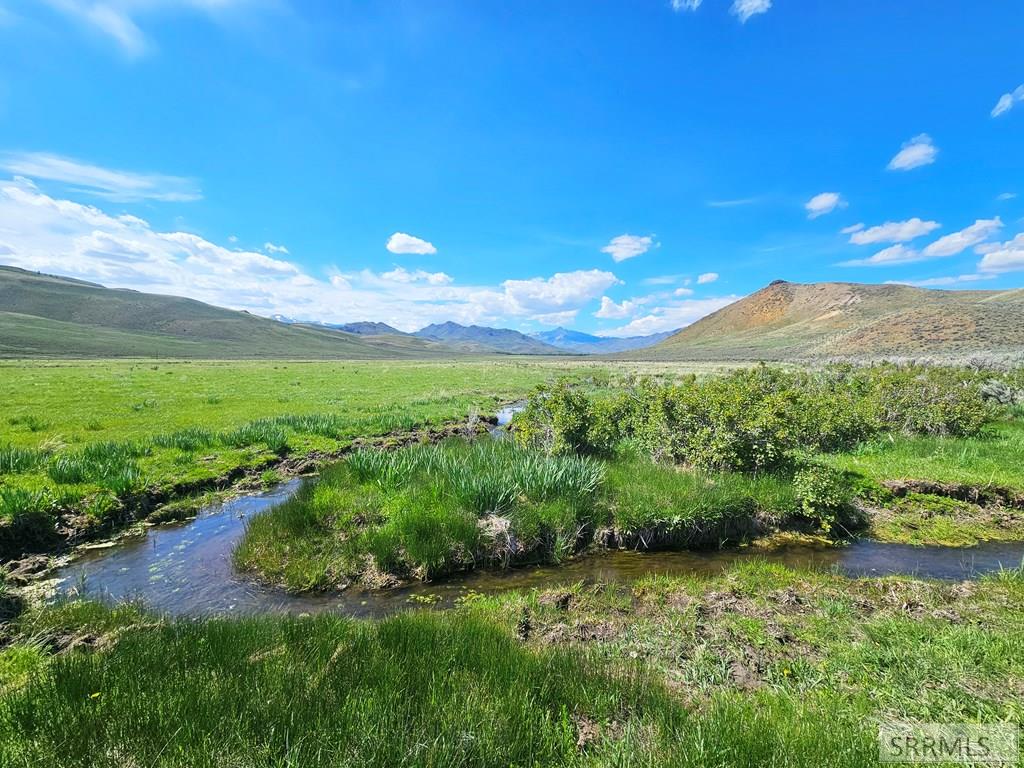 Lot 10 Dry Fork Road, MOORE, Idaho image 7