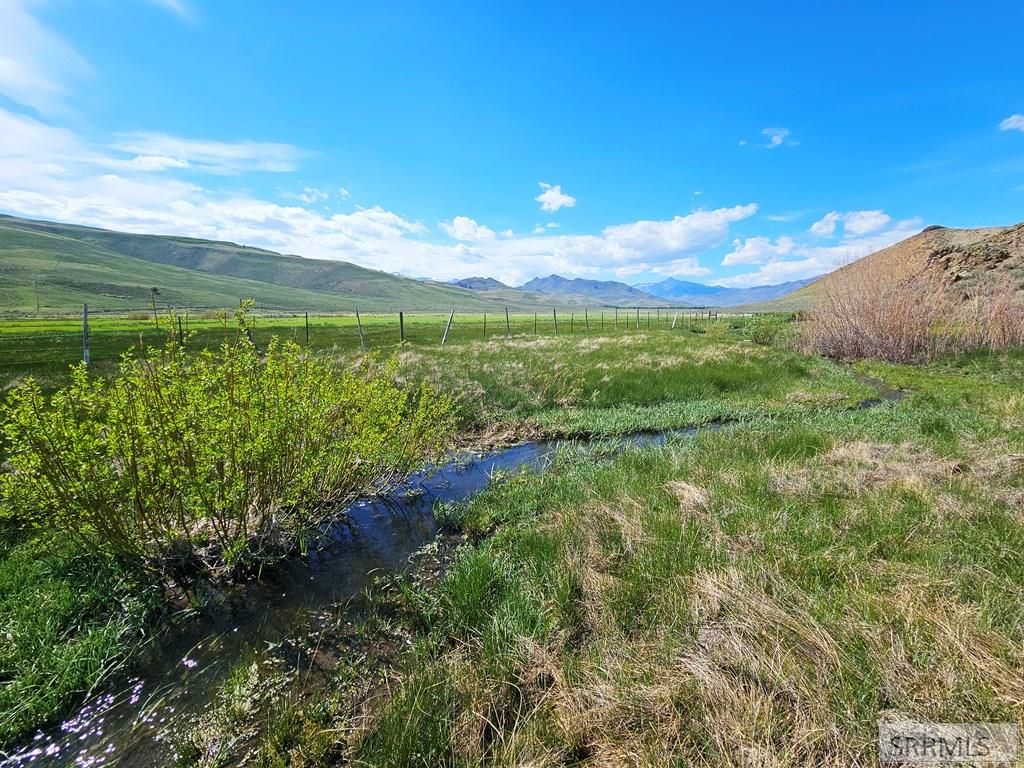 Lot 10 Dry Fork Road, MOORE, Idaho image 3