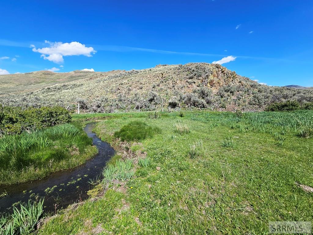 Lot 10 Dry Fork Road, MOORE, Idaho image 10