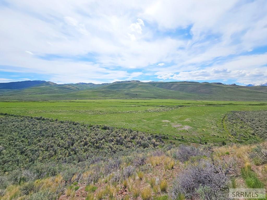 Lot 10 Dry Fork Road, MOORE, Idaho image 15