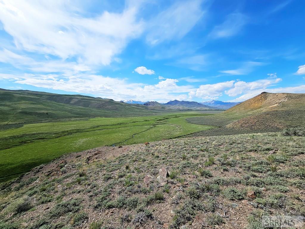 Lot 10 Dry Fork Road, MOORE, Idaho image 22