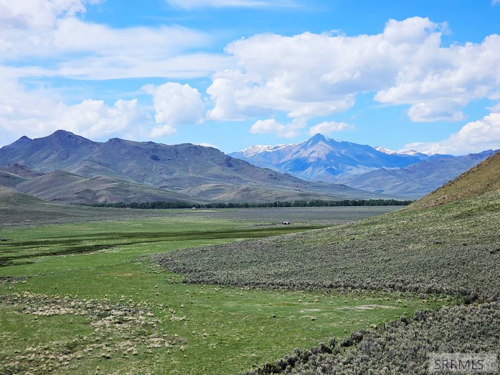 Lot 10 Dry Fork Road, MOORE, Idaho image 20