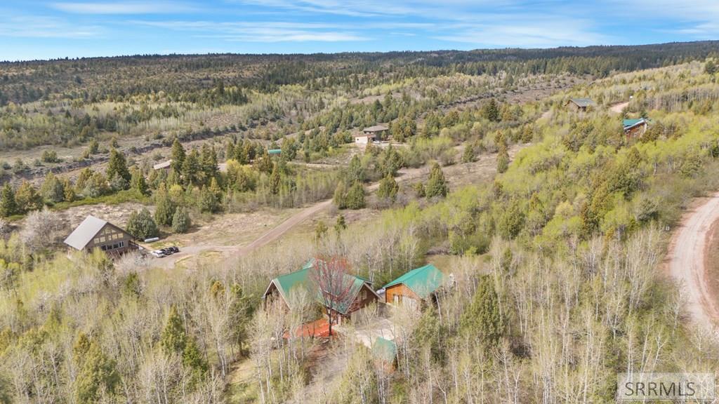 1682 Mountain Laurel Drive, ASHTON, Idaho image 49