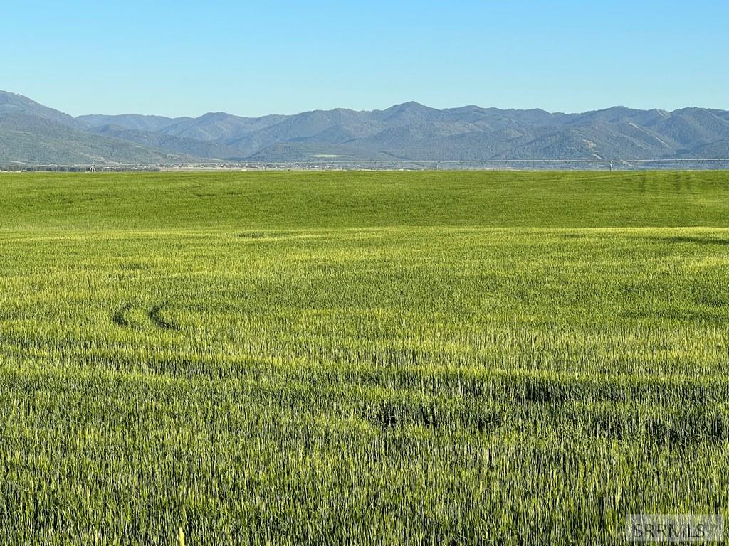 2500 S 5000 W, DRIGGS, Idaho image 7