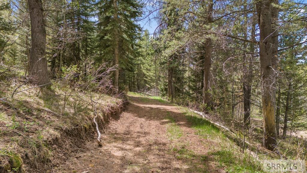 TBD Sellers Creek Road