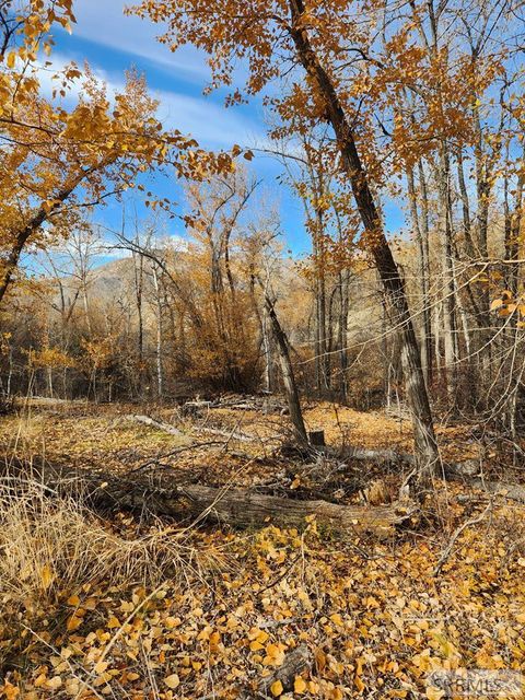 Vacant Land For Sale - TBD Burden Road<br/> SALMON, ID 83467