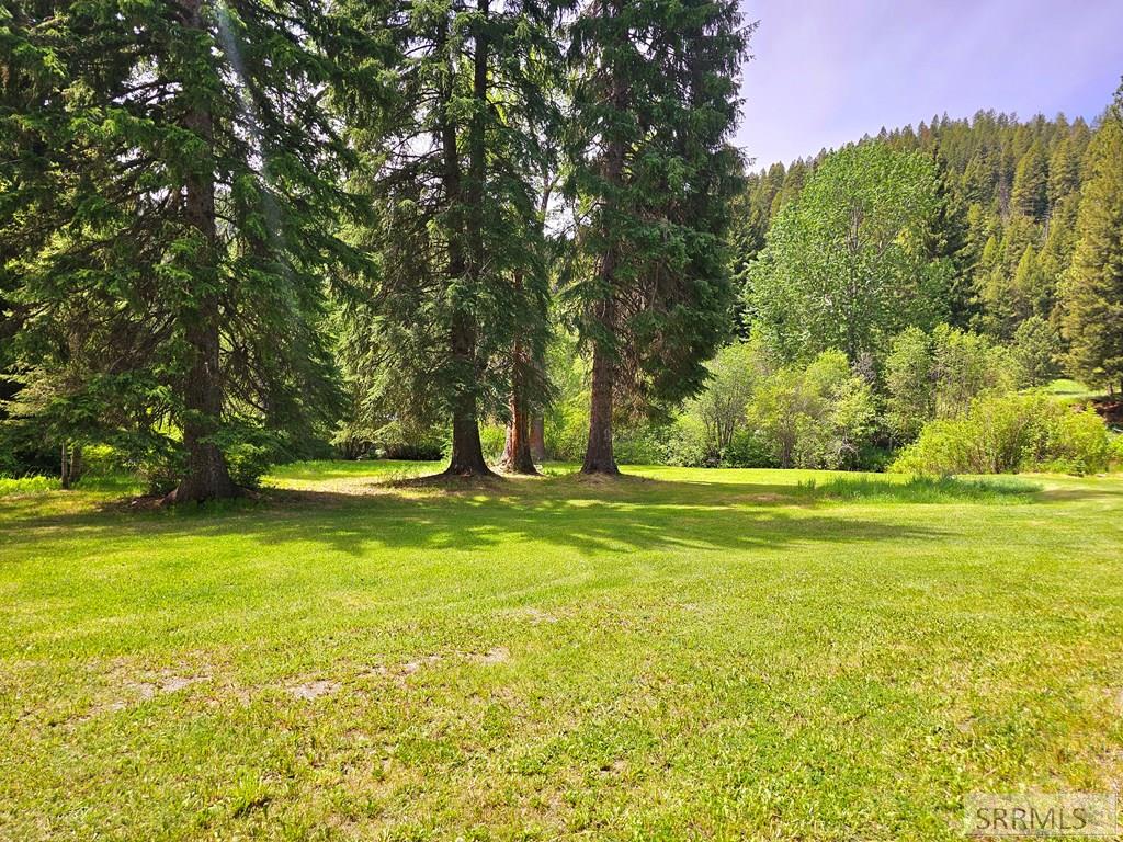 3296 N Hwy 93, GIBBONSVILLE, Idaho image 45