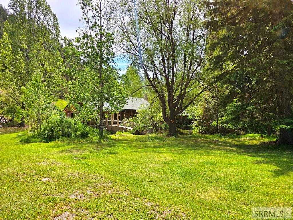 3296 N Hwy 93, GIBBONSVILLE, Idaho image 44