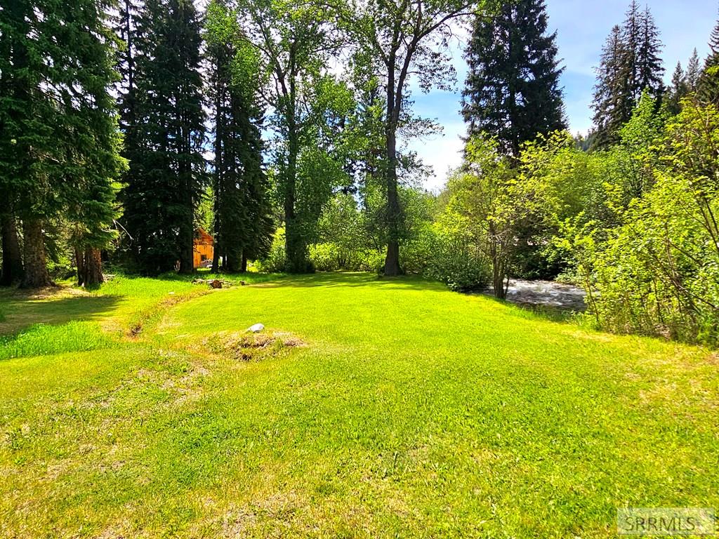 3296 N Hwy 93, GIBBONSVILLE, Idaho image 42