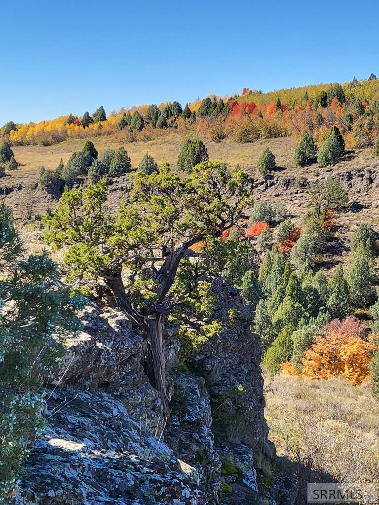 1703 Mountain Laurel Drive, ASHTON, Idaho image 12