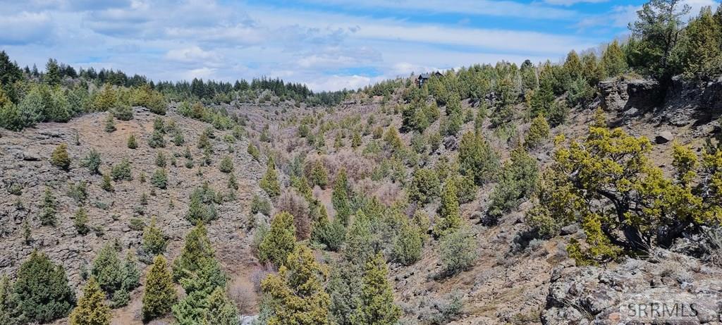 1703 Mountain Laurel Drive, ASHTON, Idaho image 4